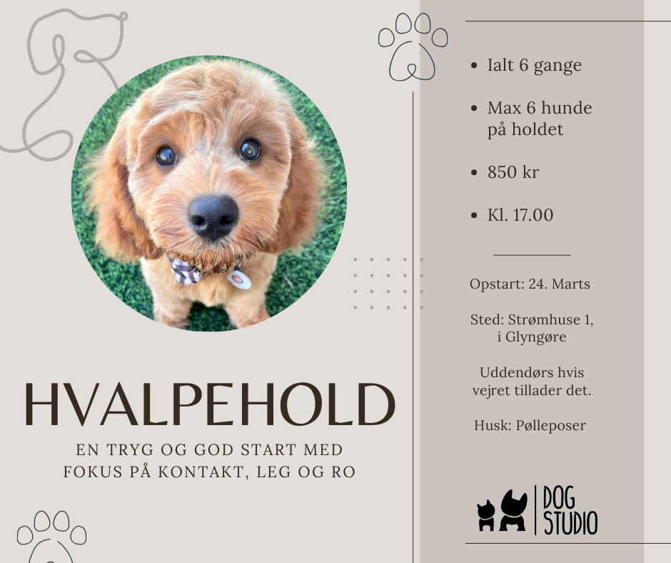 Hvalpehold
