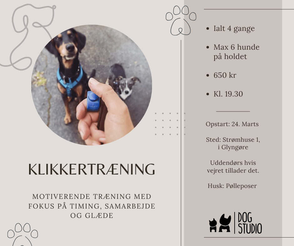 Klikkertræning